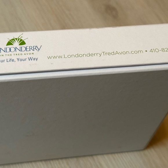 Londonderry Christmas Puzzle 1000-Piece Holiday Scene – Fun & Festive - Picture 6 of 13